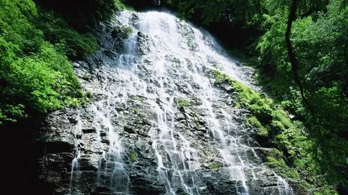 高效独特无人化